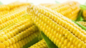 শীতে ভুট্টা কেন খাবেন 