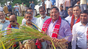 বিএনপি আবারও দেশে আগুন সন্ত্রাস চালাচ্ছে: কৃষিমন্ত্রী