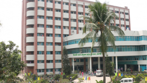 রাজশাহীতে অস্ত্রোপচারে শিশু জন্মের সময় দুই মায়ের মৃত্যু