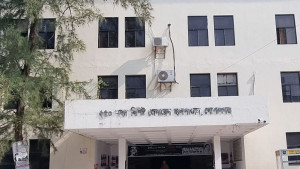 এসিডে ঝলসে গেল গৃহবধূর শরীর