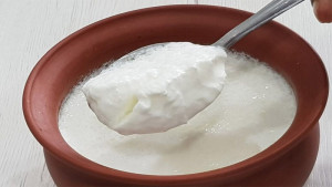 গরমের সুপারফুড টক দই 
