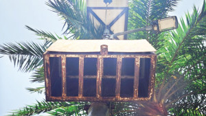আলো ছড়ানোর প্রকল্প অন্ধকারে