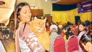 বিড়াল দেখে মুগ্ধ দর্শনার্থী