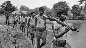 মুক্তিযুদ্ধের ইতিহাস সংরক্ষণে সেক্টরভিত্তিক ডকুমেন্টরি