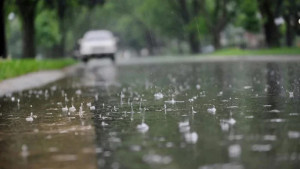 বৃষ্টি ঝরবে মাসজুড়ে