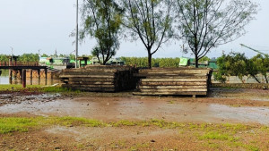 টেকনাফে ১০ কোটি টাকার অবৈধ কাঠ জব্দ