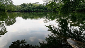 বেদখল ৬২  খাস পুকুর উদ্ধার