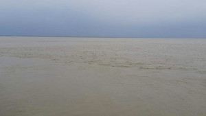 ফারাক্কা খুললেও পদ্মায় পানি বৃদ্ধির হার স্বাভাবিক