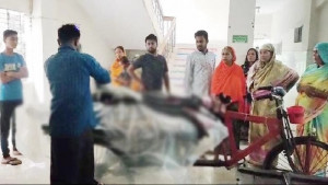 ছেলের বিয়ে ঠিক করতে যাওয়ার পথে মেয়েসহ মায়ের মৃত্যু  