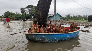আগামী ২৪ ঘণ্টা বন্যা পরিস্থিতি ও বৃষ্টি কেমন থাকবে