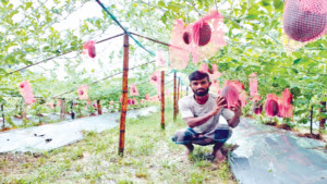 অসময়ে তরমুজ  চাষে নতুন স্বপ্ন