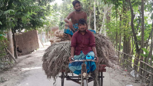 বৈরী আবহাওয়ায় উৎপাদন কমেছে, দামেও হতাশা