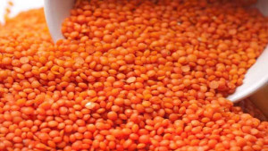 আলোচিত নাবিল নাবা থেকে মসুর ডাল কিনছে সরকার