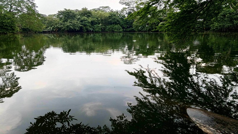 বেদখল ৬২ খাস পুকুর উদ্ধার বেদখল ৬২ খাস পুকুর উদ্ধার