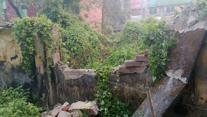 পাহাড় থেকে নেমে লোকালয়ে তাণ্ডব বন্যহাতির  