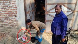 খামারের সামনে পড়ে ছিল ‘চাঁদা দাবি’ সম্বলিত চিরকুট ও বোমাসদৃশ বস্তু