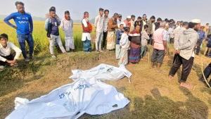 কুমিল্লায় বিল থেকে উদ্ধার হলো দুই যুবকের লাশ