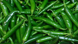 শীতে কাঁচা মরিচ কেন খাবেন 