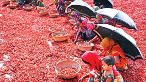 নির্মম বাস্তবতা মজুরি বৈষম্য