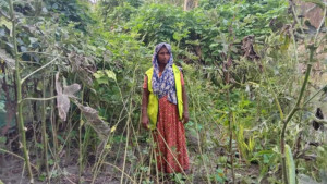 জলবায়ু পরিবর্তনে ক্ষতিগ্রস্ত পারভীন এখন অনেকের কাছে আদর্শ