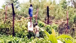 শেখ হাসিনার পতনের পর ভারতে বাড়েনি বাংলাদেশি অনুপ্রবেশ