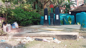 বাঁশবুনিয়া বধ্যভূমি এখন গো-চারণভূমি