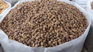 রোজার আগেই চড়া ছোলার বাজার