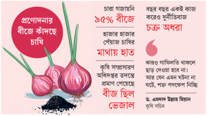 কর্মকর্তাদের কারসাজিতে পেঁয়াজ চাষে সর্বনাশ