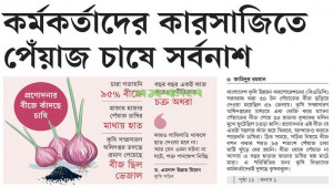 পেঁয়াজ বীজ কাণ্ডে সমকালে সংবাদের পর বরখাস্ত ২ কর্মকর্তা, একজনকে অব্যাহতি