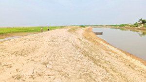 হাওরের বাঁধ অক্ষত, তবুও লুটপাটের ক্ষেত্র প্রস্তুত
