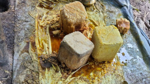 অশোধিত চিনি-গুড়ে ‘খাঁটি খেজুর গুড়’