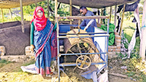 জৈব সারে আয় লাখ টাকা