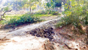 সন্দ্বীপে ব্যক্তিগত জমিতে রাস্তা তৈরির অভিযোগ