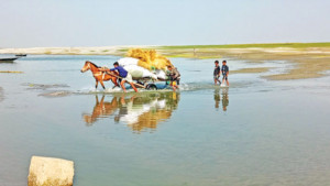 সারিয়াকান্দিতে কয়েকটি নৌরুট বন্ধ, দুর্ভোগ-বিপাকে কৃষক