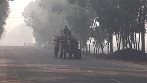 তেঁতুলিয়ায় বইছে মৃদু শৈত্যপ্রবাহ