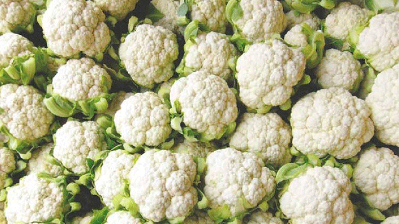 ফুলকপির যত উপকারিতা! ফুলকপির যত উপকারিতা!