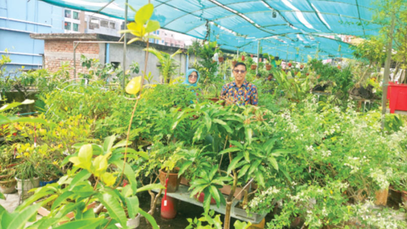 ছাদেই এক টুকরো বাগান ছাদেই এক টুকরো বাগান