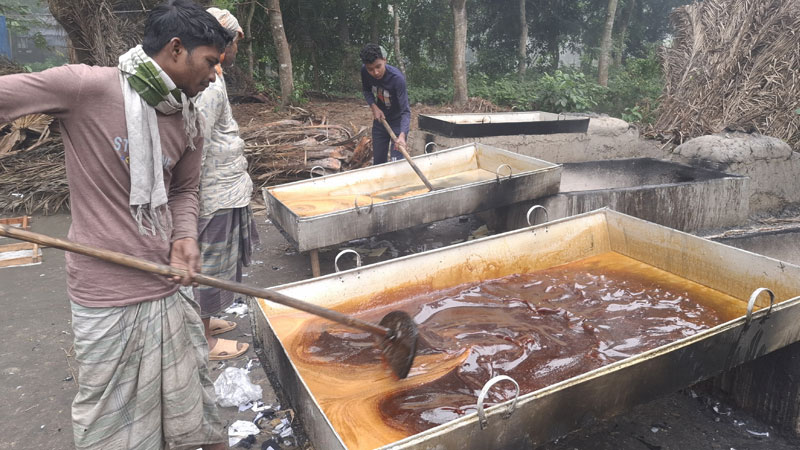 জয়পুরহাটে ২শ টন গুড় উৎপাদনের আশা জয়পুরহাটে ২শ টন গুড় উৎপাদনের আশা