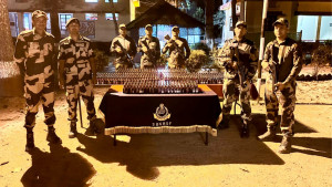 ফেব্রুয়ারির ২৮ দিনে বিএসএফের হাতে আটক ৪৯ বাংলাদেশি