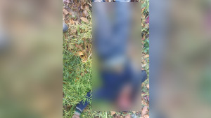 ফরিদপুরে মেহগনি বাগানে পড়ে ছিল ভ্যানচালকের মরদেহ