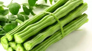 রোগ প্রতিরোধ ক্ষমতা বাড়ায় সজনে ডাঁটা 