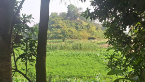 সেন্টমার্টিন-শাহপরীর দ্বীপ সীমান্তে মর্টার শেল, গোলাগুলি  