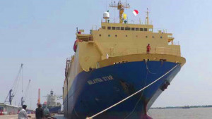মোংলায় এলো বিলাসবহুল ৭৬১ গাড়ি