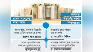 কার্যকর বিরোধী দলের শূন্যতা পূরণই চ্যালেঞ্জ