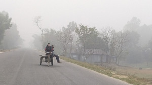কুড়িগ্রামে ঘনকুয়াশা, নেই সূর্যের দেখা   