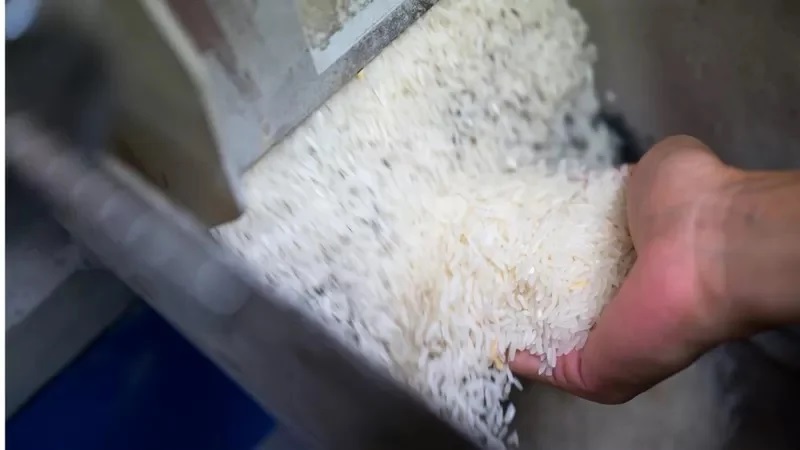পলিশ করা চকচকে চাল আর বাজারে থাকবে না: খাদ্যমন্ত্রী পলিশ করা চকচকে চাল আর বাজারে থাকবে না: খাদ্যমন্ত্রী