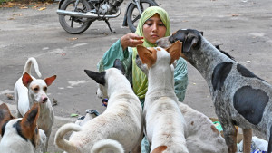 ছিন্নমূল কুকুরদের পাশে ইন্টার্ন চিকিৎসক
