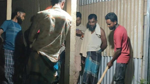 রাসেলস ভাইপার ভেবে অজগর পিটিয়ে হত্যা