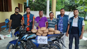 গাংনীতে ৯ কেজি গাঁজাসহ দুই কারবারি আটক