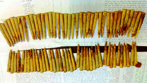 মাটি খুঁড়ে মিলল রাইফেলের ৭৮ গুলি